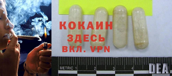 ешки Аркадак