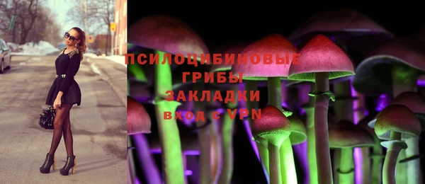ешки Аркадак