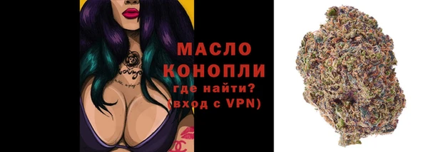 ешки Аркадак