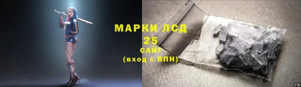 ешки Аркадак