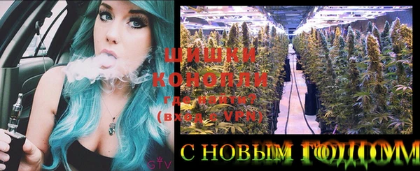 ГАЛЛЮЦИНОГЕННЫЕ ГРИБЫ Армянск