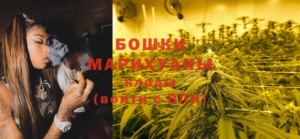 ешки Аркадак