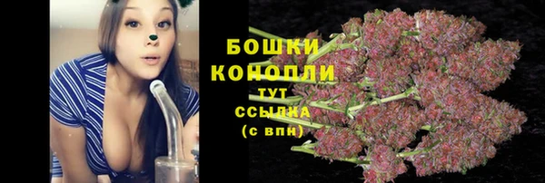 ГАЛЛЮЦИНОГЕННЫЕ ГРИБЫ Армянск